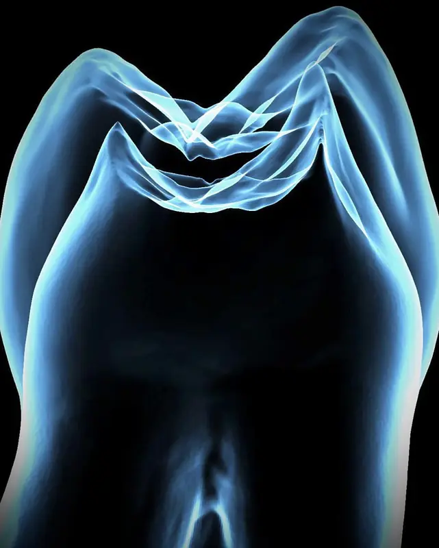 Understanding Biomimetic Dentistry