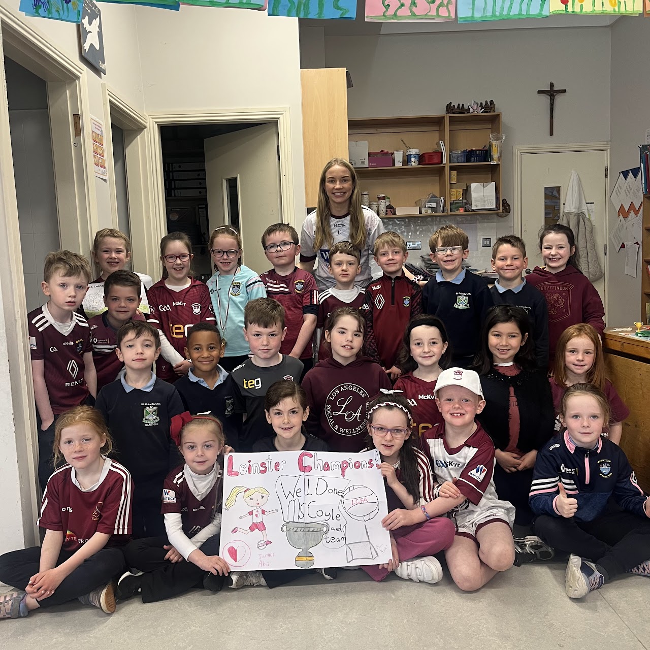 St. Colmcilles Gainstown National School