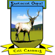 Gaelscoil Osraí