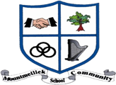 Mountmellick Community School