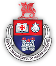 Wesley College Dublin