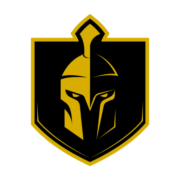 Spartan Boxing Fitness - Baggot Street