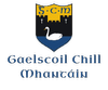 Gaelscoil Chill Mhantáin