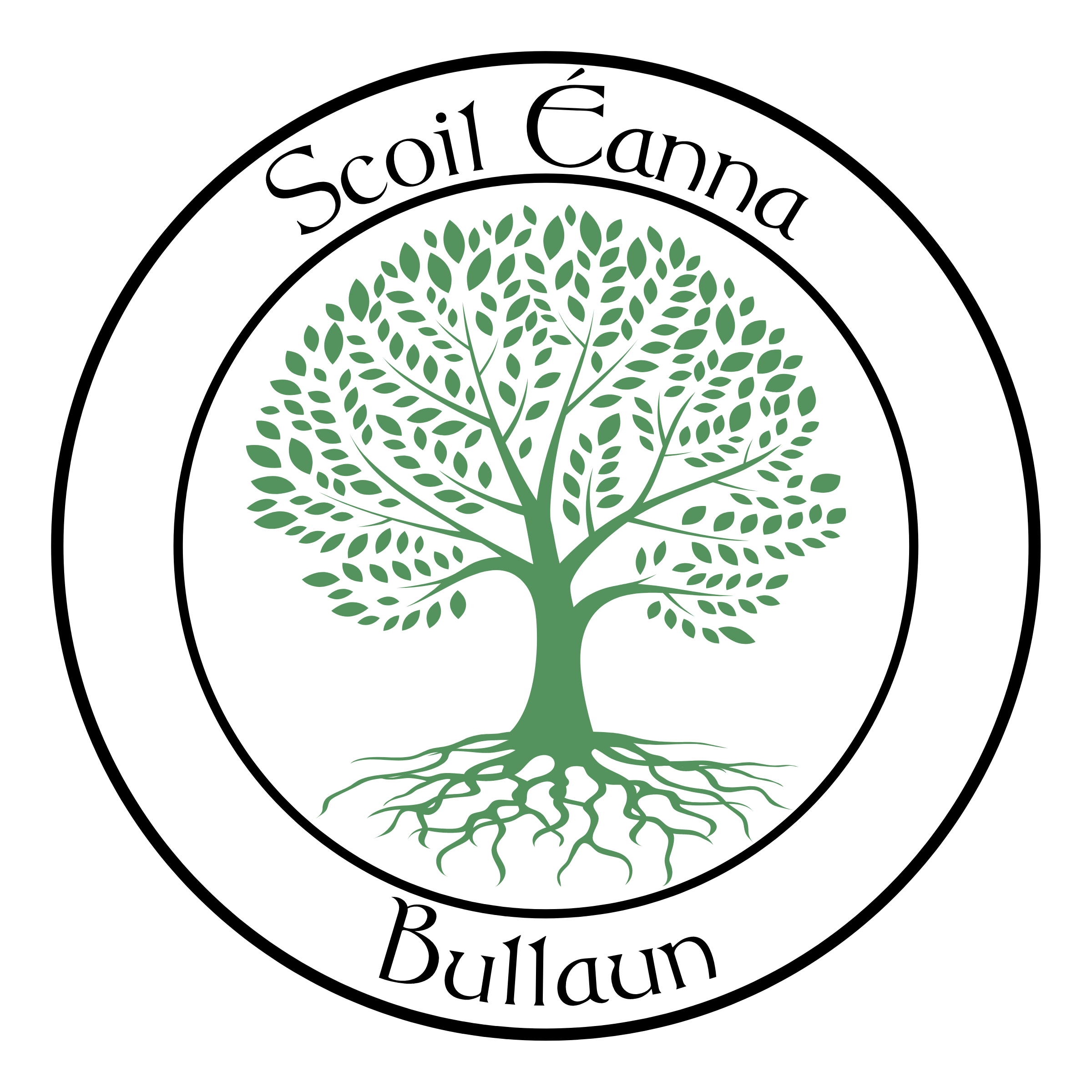 Bullaun National School