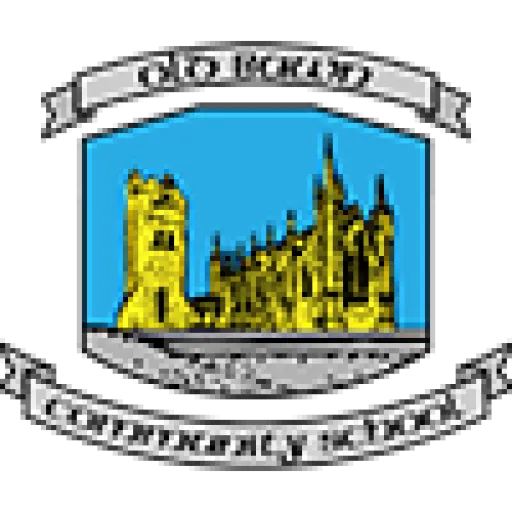 Old Bawn Community School