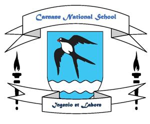 Carnane National School