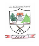 Raheen National School