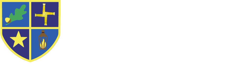 St. Brigid's Primary School - Presentation Building