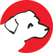 Autism Assistance Dogs Ireland