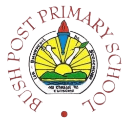 Bush Post Primary School
