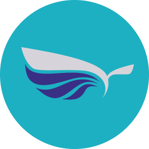 Titans Swim Club