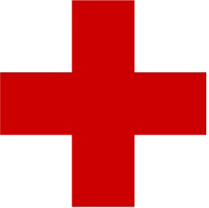 Irish Red Cross, Limerick Branch