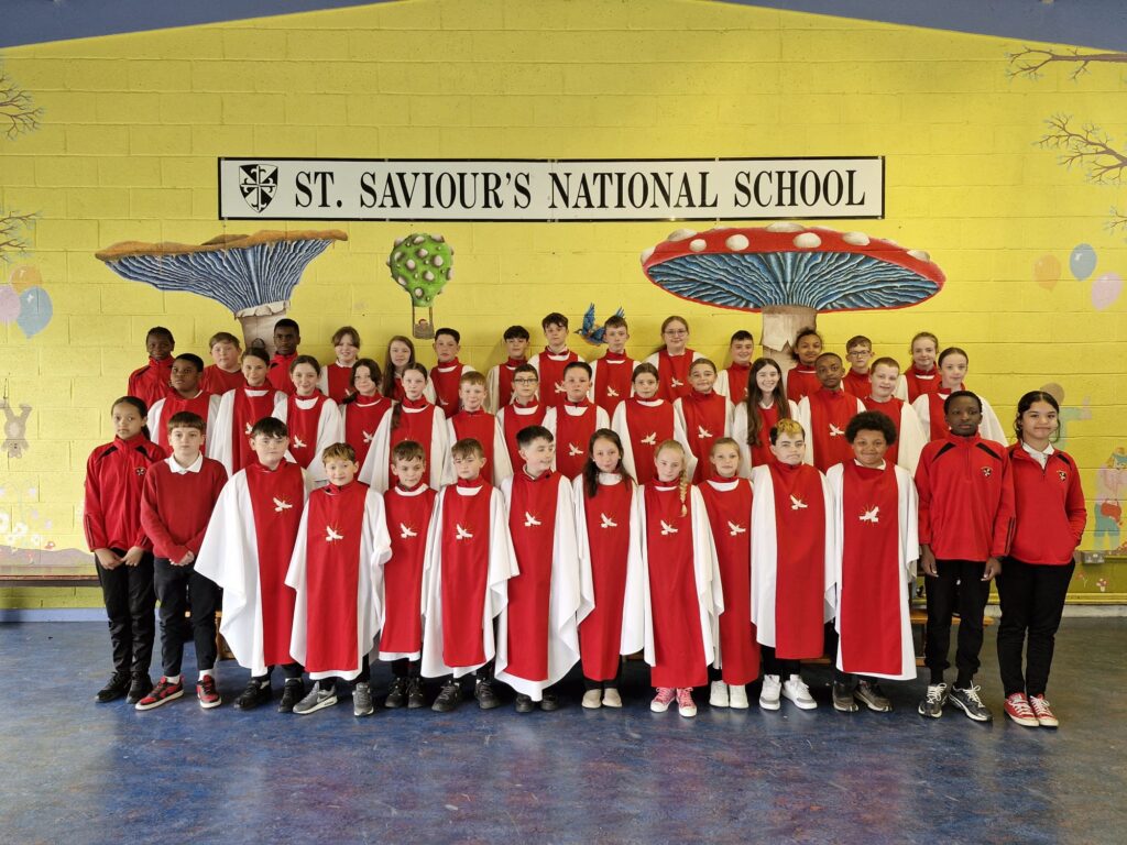 St Saviours National School