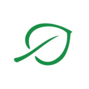 Parkinson's Ireland