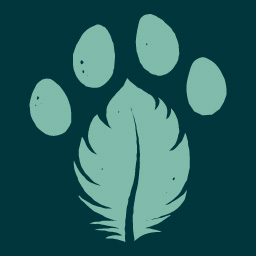 Kildare Wildlife Rescue