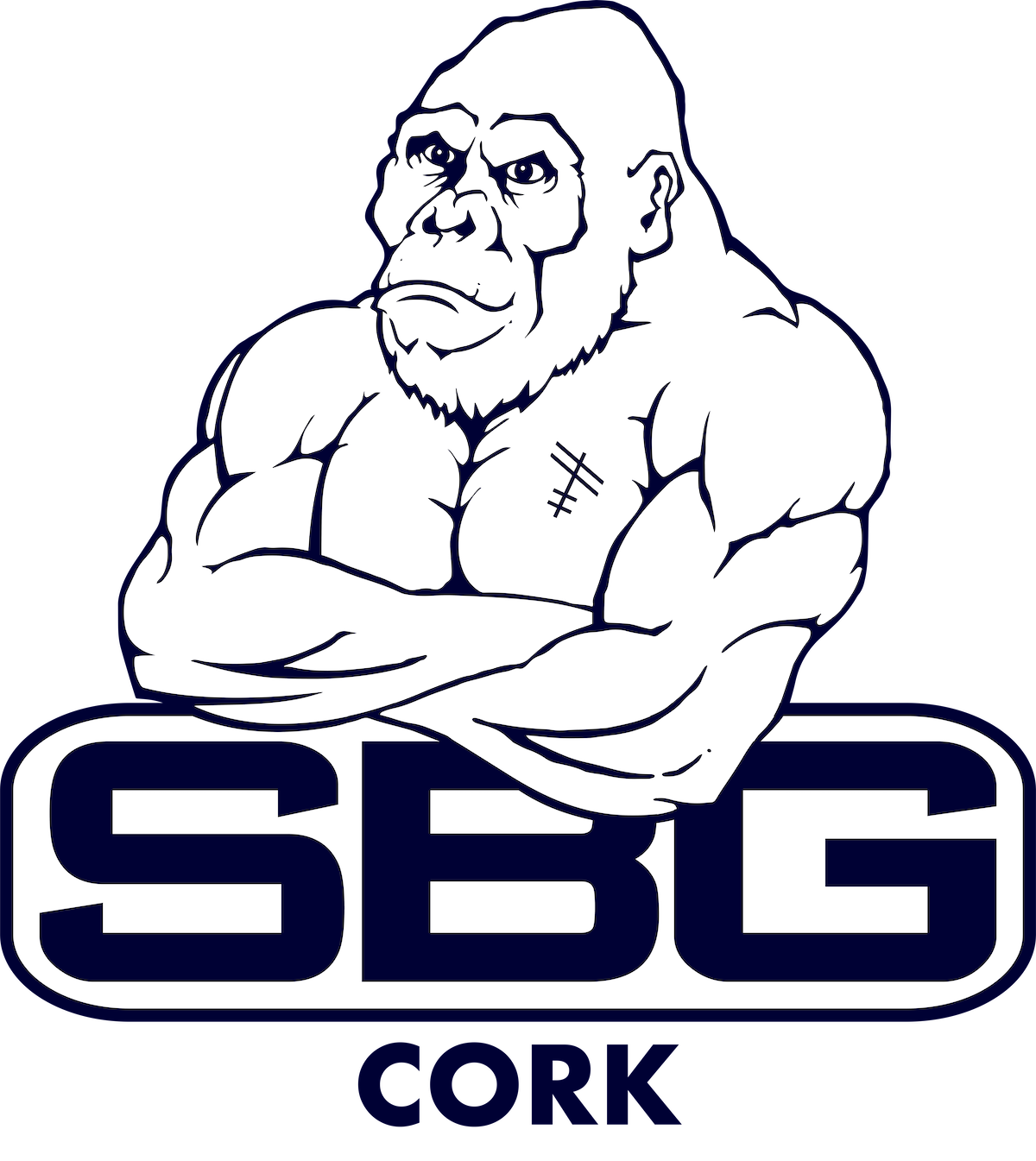 SBG Cork - BJJ, MMA, Kickboxing & Fitness