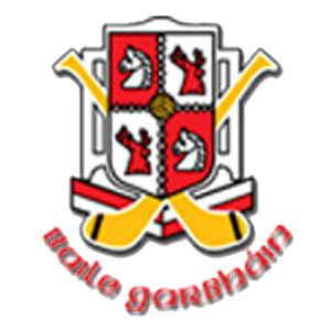 Ballygarvan GAA Club