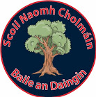 Ballindaggin National School