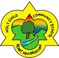 Holy Child Community School, Sallynoggin