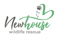 Newhouse Wildlife Rescue