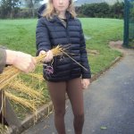 Rathkeevin NS
