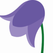 Friends of St Luke's Hospital