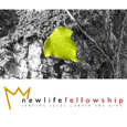New Life Fellowship Church
