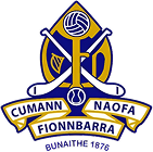 St. Finbarr's National Hurling & Football Club Togher