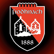 Fenagh St Caillins GAA Club