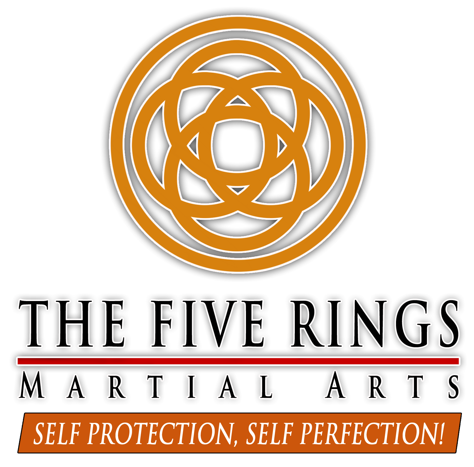 The Five Rings Martial Arts, Dublin