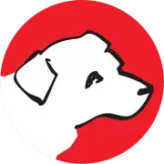 Autism Assistance Dogs Ireland
