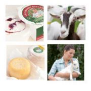 Ardsallagh Farmhouse Cheese