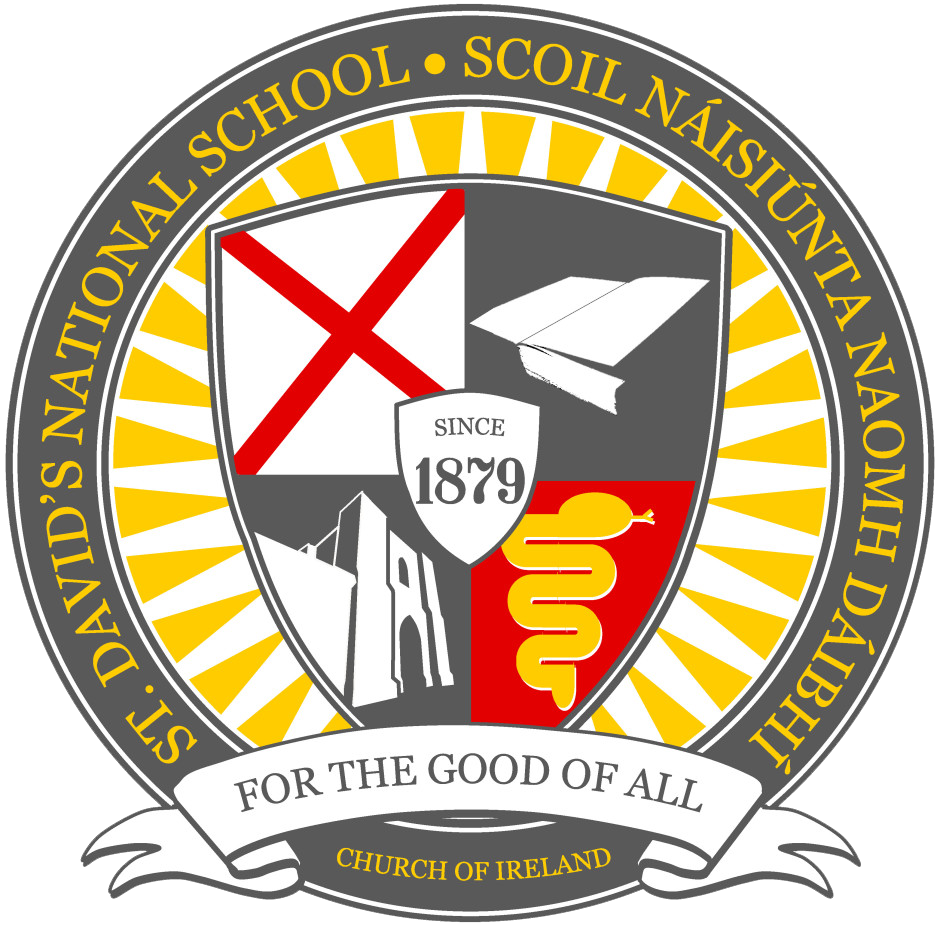St David's National School