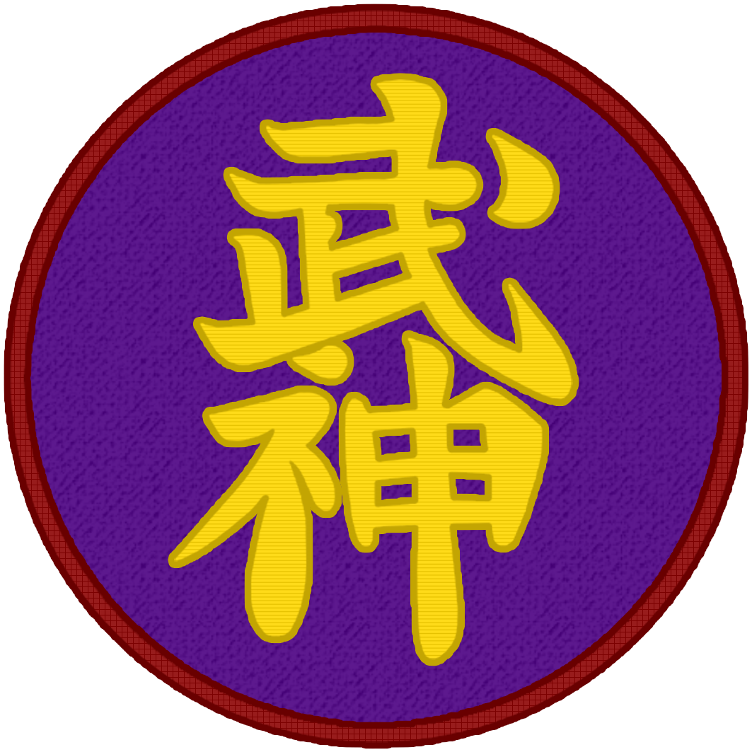 Traditional Japanese Martial Arts - Ninjutsu - Bujinkan Budo Taijutsu