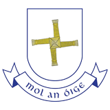 Scoil Bhríde N.S