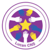 Lucan Community National School