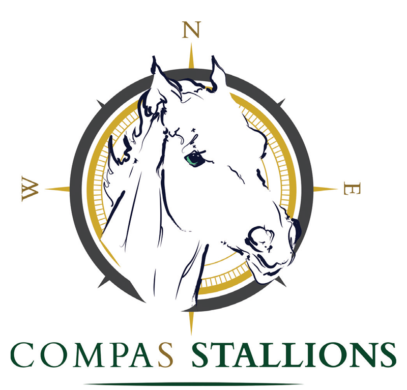 Starfield stud