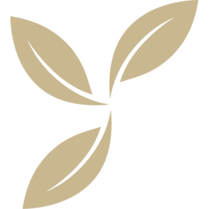 Elaine Denn Counselling & Psychotherapy