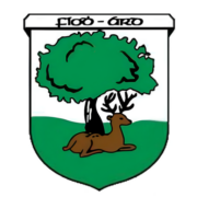 Fethard GAA Club
