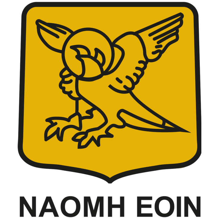 Naomh Eoin GAA Club
