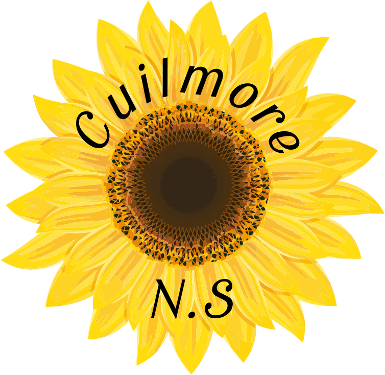 Cuilmore National School