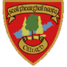 St Fergal's National School