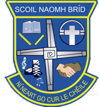 St Brigids Girls National School