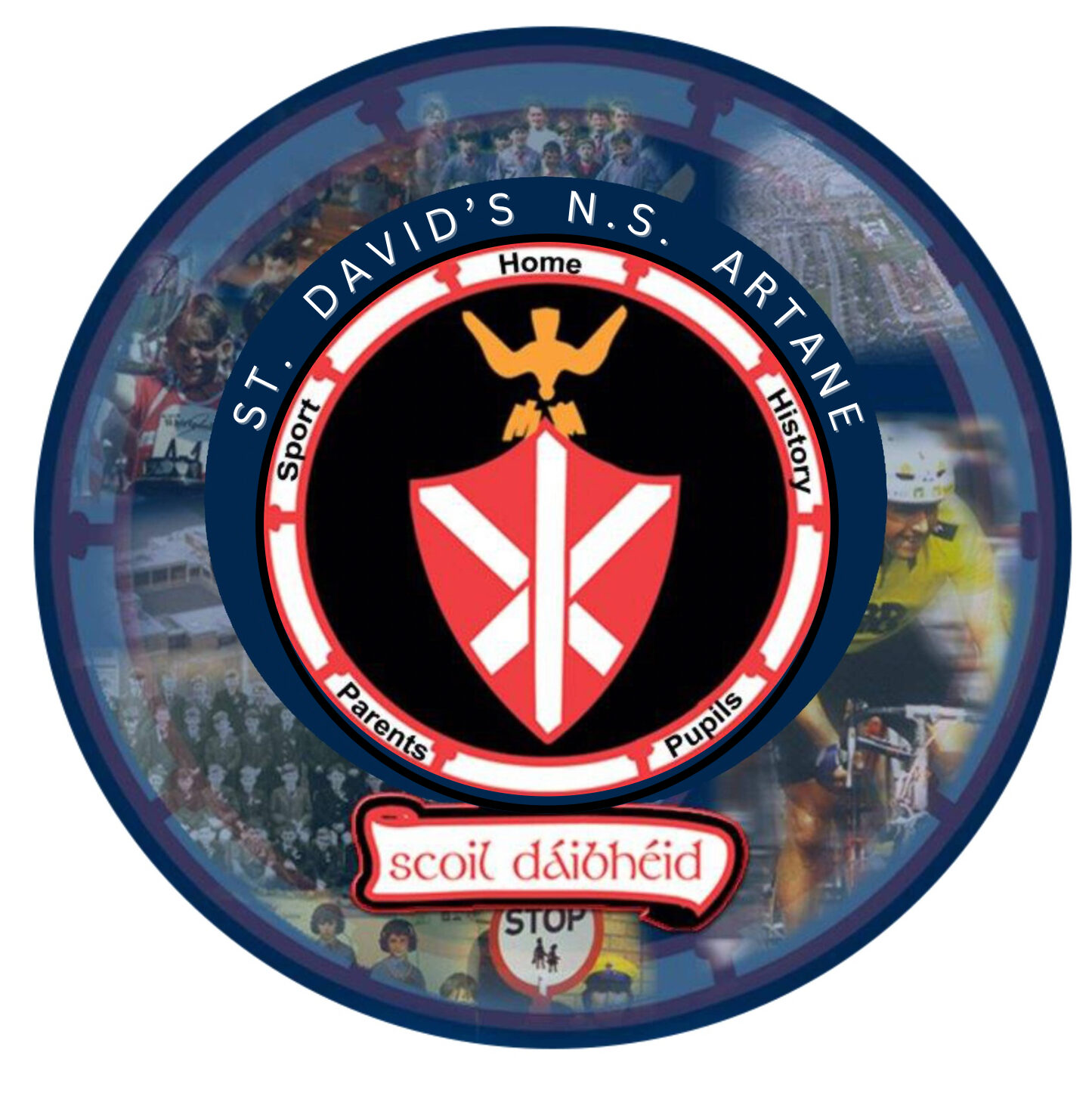 St. David's Boys National School