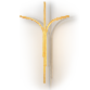 Church of The Divine Word