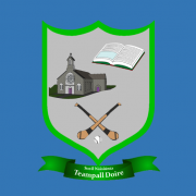 Templederry National School Astro turf