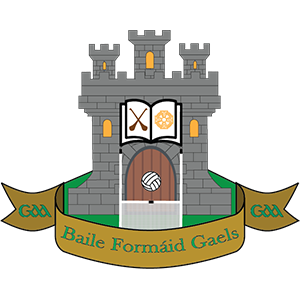Ballyfermot Gaels GAA Club