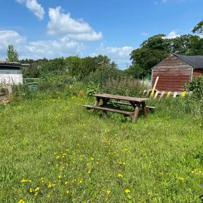Powerstown Allotments