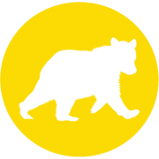 Swim Cubs