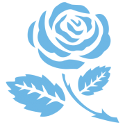 Irish Society for Autism